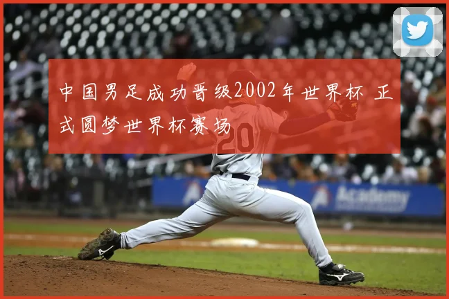 中国男足成功晋级2002年世界杯 正式圆梦世界杯赛场